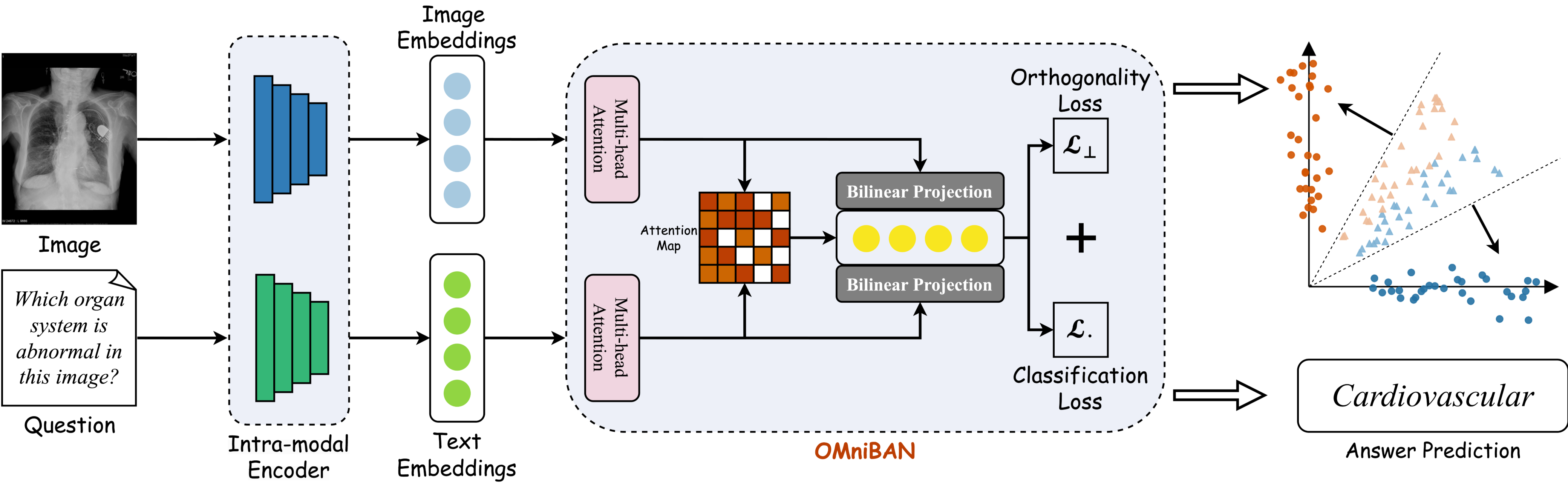 OMniBAN Framework